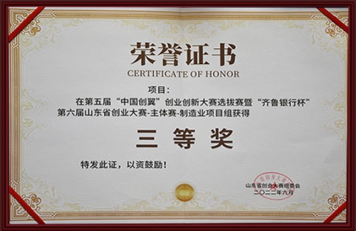 山东省创业大赛主体赛三等奖