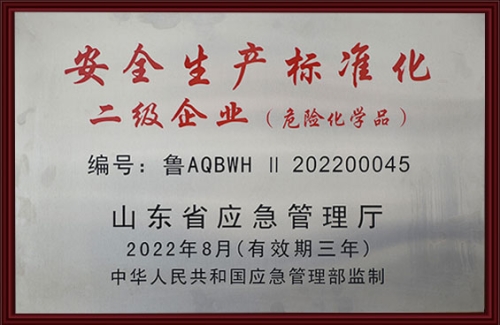 安全生产标准化二级企业